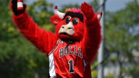 Mascot Makeover: How Colleges Revitalize their Sports Team Mascots